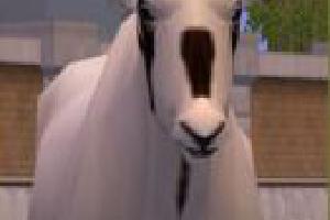 Arabian Oryx (ES Version)