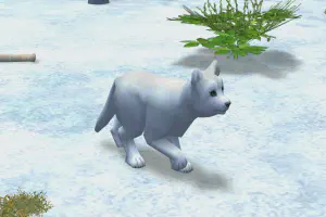 Arctic Fox