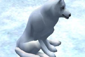 Arctic Wolf