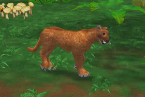 Asian Golden Cat