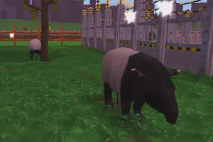 Asian Tapir