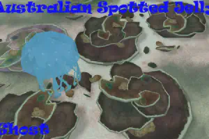 Australian Spotted Jellyfish