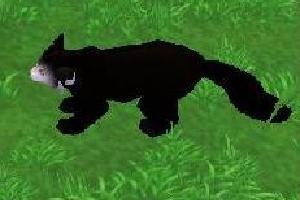 Aye-Aye