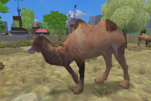 Bactrian Camel