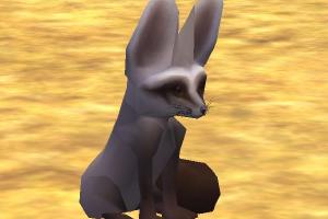 Bat-Eared Fox II