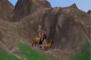 Bezoar Goat (ES Version)