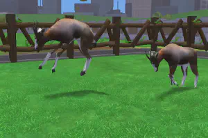 Blesbok