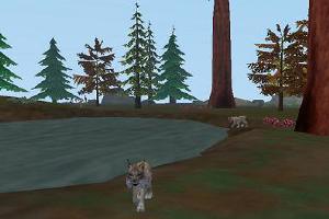 Bobcat