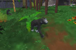 Bonobo