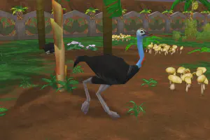 Cassowary