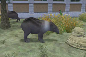 Chacoan Peccary