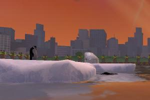 Chinstrap Penguin