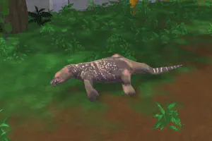 Crocodile Monitor