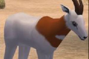 Dama Gazelle (ES Version)