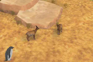 Dik-Dik
