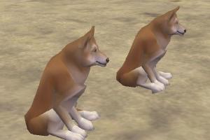 Dingo II