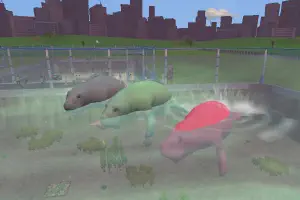 Dugong