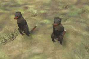Dwarf Mongoose