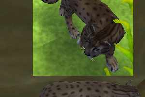 Fishing Cat
