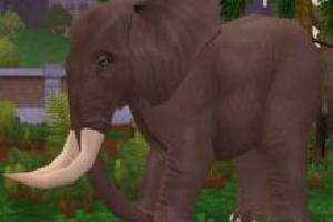 Forest Elephant (ES Version)