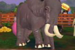 Forest Elephant