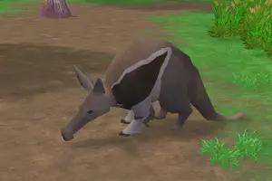 Giant Anteater