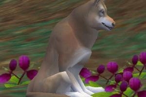 Great Plains Wolf