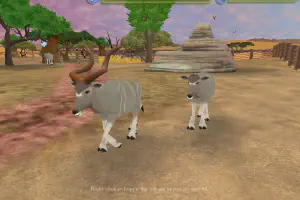 Greater Kudu
