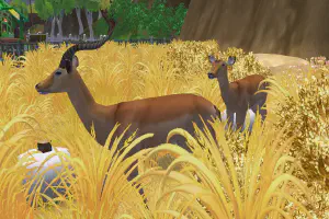 Impala
