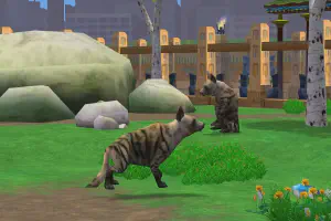 Indian Hyena
