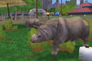 Indian Rhinoceros III