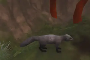 Jackson's Mongoose