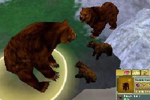 Kodiak Bear II