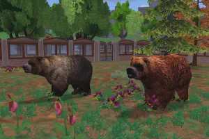 Kodiak Bear