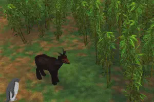 Mainland Serow