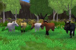 Miniature Pony