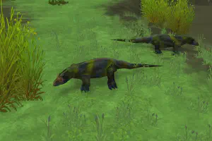Nile Monitor Lizard