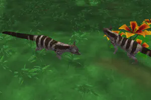 Owston's Palm Civet