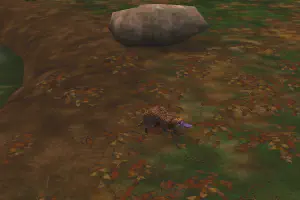 Platypus