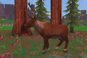 Red Deer