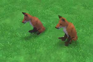 Red Fox