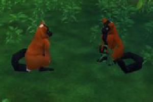 Red Ruffed Lemur
