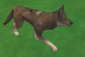 Red Wolf