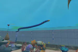 Ribbon Eel