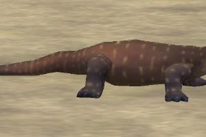 Sand Goanna