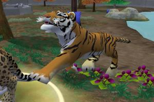 Siberian Tiger