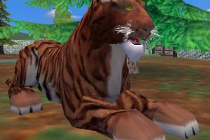 Siberian Tiger
