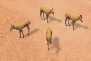 Slender-horned Gazelle