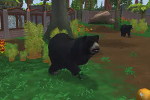 Sloth Bear
