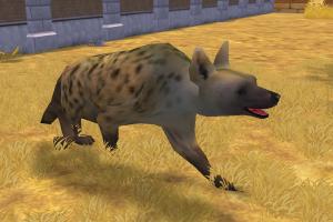 Spotted Hyena II